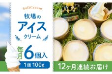 【全12回定期便】牧場の アイスクリーム セット ( 100g × 6個 ) / アイス ソフトクリーム ミルク デザート スイーツ お菓子 熊本 山都町【山の未来舎】[YBV023] 