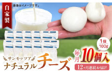 【全12回定期便】自家製 ナチュラルチーズ サンモッツア 10個 ( 100g × 10個 ) / チーズ モッツァレラチーズ  乳製品 熊本 山都町【山の未来舎】[YBV025] 