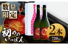 【数量限定】初めのいっぽん 720ml 2本 熨斗 包装 お歳暮 お年賀 日本酒 お酒 地酒 熊本県 山都町 化粧箱入り ギフト【通潤酒造株式会社】[YAN053]