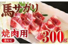 【数量限定】馬サガリ 300g カルビ 焼肉 熊本 馬肉 冷凍【山都町（阿蘇牧場）】[YDF025] 
