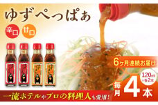 【全6回定期便】ゆずぺっぱぁ 辛口 甘口 120ml 各2本 柚子 ゆず 調味料 熊本 山都町【本田農園】[YDL028]