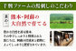 国内肥育 馬刺し ギフト用 鮮馬刺しセット 約500g 専用タレ付き 熊本 山都町 冷凍 馬肉 馬刺 ヘルシー 小分け