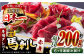 国内肥育 馬刺し 赤身 約200g 専用タレ付き 熊本 山都町 冷凍 馬肉 馬刺 ヘルシー 小分け