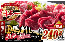国内肥育 馬刺し 大トロ霜降り 赤身セット 約240g以上保証 専用タレ付き ばさし 熊本 山都町 冷凍 馬肉 馬刺 ヘルシー 小分け【有限会社 丸重ミート】[YAK004] 