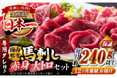 【全12回定期便】国内肥育 馬刺し 大トロ霜降り赤身セット 約240g以上保証 ( 大トロ霜降り 赤身 ) 専用タレ付き 熊本 山都町 冷凍 馬肉 馬刺 ヘルシー 小分け【有限会社 丸重ミート】[YAK043]