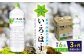 阿蘇の天然水 2リットル 6本 定期便 いろはす 軟水 天然水 ミネラルウォーター 飲料水 熊本 山都町 防災 備蓄 ストック