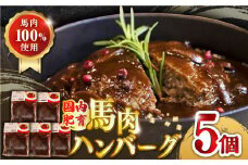 国内肥育 冷凍 馬肉ハンバーグ 計1kg ( 200g × 5個 ) デミグラスソース入り 小分け ハンバーグ 温めるだけ 個包装 惣菜 湯煎 熊本【有限会社 丸重ミート】[YAK012]