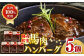 国内肥育 冷凍 馬肉ハンバーグ デミグラスソース入り 小分け ハンバーグ 温めるだけ 個包装 惣菜 湯煎 熊本