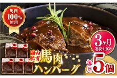 【全3回定期便】国内肥育 冷凍 馬肉ハンバーグ 計1kg ( 200g × 5個 ) デミグラスソース入り 小分け ハンバーグ 温めるだけ 個包装 惣菜 湯煎 熊本【有限会社 丸重ミート】[YAK025] 