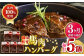 国内肥育 冷凍 馬肉ハンバーグ デミグラスソース入り 小分け ハンバーグ 温めるだけ 個包装 惣菜 湯煎 熊本