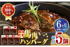 【全6回定期便】国内肥育 冷凍 馬肉ハンバーグ 計1kg ( 200g × 5個 ) デミグラスソース入り 小分け ハンバーグ 温めるだけ 個包装 惣菜 湯煎 熊本【有限会社 丸重ミート】[YAK038] 