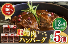 【全12回定期便】国内肥育 冷凍 馬肉ハンバーグ 計1kg ( 200g × 5個 ) デミグラスソース入り 小分け ハンバーグ 温めるだけ 個包装 惣菜 湯煎 熊本【有限会社 丸重ミート】[YAK051] 