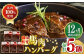 国内肥育 冷凍 馬肉ハンバーグ デミグラスソース入り 小分け ハンバーグ 温めるだけ 個包装 惣菜 湯煎 熊本