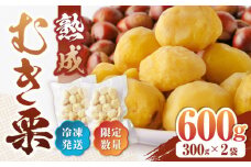 【数量限定】熟成 むき栗 計600g ( 300g×2袋 ) 小分け 冷凍 和栗 くり 産地直送 熊本直送 国産 熊本 山都町【アグリ冬野】[YCD002] 