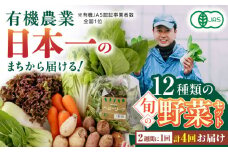 【全4回隔週定期便】有機野菜 オーガニック 12種セット 野菜 有機JAS認定 詰め合わせ オーガニック野菜 熊本県産 山都町産 産地直送 熊本直送 【株式会社 肥後やまと】[YAF016] 