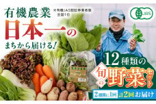 【全2回隔週定期便】有機野菜 オーガニック 12種セット 野菜 有機JAS認定 詰め合わせ オーガニック野菜 熊本県産 山都町産 産地直送 熊本直送 【株式会社 肥後やまと】[YAF013] 