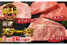 【全3回定期便】あか牛 ステーキ 厳選3種 食べ比べセット ステーキ 定期便 牛肉 サーロインステーキ リブロースステーキ ランプステーキ サーロイン リブロース ロース ランプ 赤身 焼肉 国産 牛肉 熊本県産 ステーキ 定期便【有限会社 三協畜産】[YCG101] 