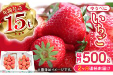 【先行予約】【2025年12月より順次発送】【全2回定期便】ゆうべに いちご  セット 250g×2P 農園直送 産地直送 熊本県産 山都町産 いちご イチゴ 苺 ストロベリー フルーツ 果物 【なかはた農園】[YBI049] 
