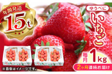 【先行予約】【2025年12月より順次発送】【全2回定期便】ゆうべに いちご セット 250g×4P 農園直送 産地直送 熊本県産 山都町産 いちご イチゴ 苺 ストロベリー フルーツ 果物 【なかはた農園】[YBI050] 