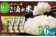 【全6回定期便】清和 湧水米 ヒノヒカリ 6kg コメ 米 こめ 白米 精米米 定期便 米定期便 ひのひかり  【道の駅清和文楽邑 清和物産館「四季のふるさと」】[YAI037] 