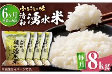 【全6回定期便】清和 湧水米 ヒノヒカリ 8kg コメ 米 こめ 白米 精米 定期便 米定期便 ひのひかり  【道の駅清和文楽邑 清和物産館「四季のふるさと」】[YAI038] 
