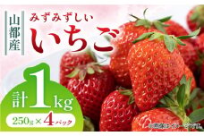 山都産みずみずしい苺 計1kg ( 250 g × 4P ) いちご フルーツ 熊本 山都町【上益城農業協同組合 Aコープ矢部】[YAM008] 