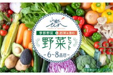 山都でしか野菜セット 産地直送 やさい 熊本 季節野菜【株式会社 山都でしか】[YBF001] 