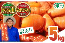 【訳あり】有機 ニンジン 規格外品 約5kg 有機野菜 にんじん 人参 有機JAS認定 オーガニック野菜 有機野菜 熊本県産 訳あり 野菜 ワケアリ 野菜 山都町産 有機野菜 産地直送【グリーンファーム矢部】[YDC004]