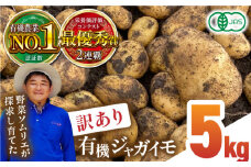 【数量限定】【訳あり】有機 ジャガイモ 約5kg 規格外品 野菜 じゃがいも 馬鈴薯 有機JAS認定 オーガニック野菜 熊本県産 山都町産 産地直送 熊本直送【グリーンファーム矢部】[YDC005]
