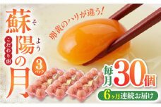 【全6回定期便】蘇陽の月 30個入り ( 10個入り × 3パック ) 熊本県産 山都町 たまご 卵 玉子 タマゴ 鶏卵 オムレツ 卵かけご飯 卵焼き【蘇陽農場】[YBE019]