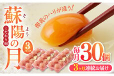 【全3回定期便】蘇陽の月 30個入り ( 10個入り × 3パック ) 熊本県産 山都町 たまご 卵 玉子 タマゴ 鶏卵 オムレツ 卵かけご飯 朝食 料理 人気 卵焼き【蘇陽農場】[YBE018]