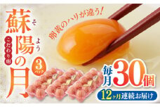 【全12回定期便】蘇陽の月 30個入り ( 10個入り × 3パック ) 熊本県産 山都町 たまご 卵 玉子 タマゴ 鶏卵 オムレツ 卵かけご飯 朝食 料理 人気 卵焼き【蘇陽農場】[YBE020]