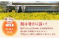 蘇陽の月 60個入り ( 10個入り × 6パック ) 熊本県産 山都町 たまご 卵