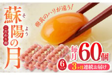 【全3回定期便】蘇陽の月 60個入り ( 10個入り × 6パック ) 熊本県産 山都町 たまご 卵 玉子 タマゴ 鶏卵 オムレツ 卵かけご飯 朝食 料理 人気 卵焼き【蘇陽農場】[YBE022]