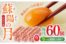【全6回定期便】蘇陽の月 60個入り ( 10個入り × 6パック ) 熊本県産 山都町 たまご 卵 玉子 タマゴ 鶏卵 オムレツ 卵かけご飯 朝食 料理 人気 卵焼き【蘇陽農場】[YBE023]