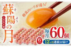 【全12回定期便】蘇陽の月 60個入り ( 10個入り × 6パック ) 熊本県産 山都町 たまご 卵 玉子 タマゴ 鶏卵 オムレツ 卵かけご飯 朝食 料理 人気 卵焼き【蘇陽農場】[YBE024]