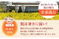 熊本そだち 30個入り ( 10個入り × 3パック ) 熊本県産 山都町 たまご 卵