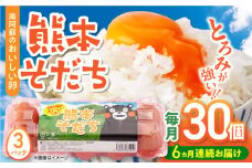 【全6回定期便】熊本そだち 30個入り ( 10個入り × 3パック ) 熊本県産 山都町 たまご 卵 玉子 タマゴ 鶏卵 オムレツ 卵かけご飯 朝食 料理 人気 卵焼き【蘇陽農場】[YBE031]
