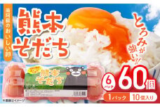 熊本そだち 60個入り ( 10個入り × 6パック ) 熊本県産 山都町 たまご 卵 玉子 タマゴ オムレツ 朝食 料理 人気 たまご 卵焼き 鶏卵 たまご料理【蘇陽農場】[YBE033]