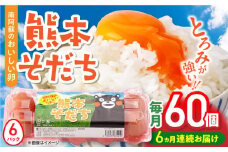 【全6回定期便】熊本そだち 60個入り ( 10個入り × 6パック ) 熊本県産 山都町 たまご 卵 玉子 タマゴ 鶏卵 オムレツ 卵かけご飯 朝食 料理 人気 卵焼き【蘇陽農場】[YBE035]