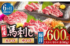 【全6回定期便】馬刺し 2種 計600g (大トロ 中トロ)各300g 熊本 冷凍 馬肉 馬刺 ヘルシー【山都町（桜屋）】[YBW105]