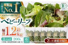 【全3回定期便】 有機野菜 ベビーリーフ 計1.2kg (200g×6パック) 山都町産 産地直送 高原野菜 有機JAS認証取得【株式会社 清和ミネラル会】 [YBT006]