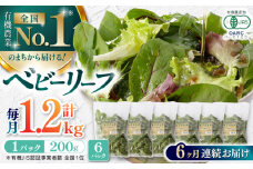 【全6回定期便】 有機野菜 ベビーリーフ 計1.2kg (200g×6パック) 山都町産 産地直送 高原野菜 有機JAS認証取得【株式会社 清和ミネラル会】 [YBT007]