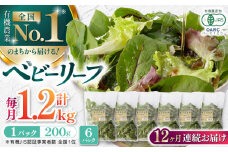 【全12回定期便】 有機野菜 ベビーリーフ 計1.2kg (200g×6パック) 山都町産 産地直送 高原野菜 有機JAS認証取得【株式会社 清和ミネラル会】 [YBT008]