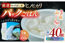 【全12回定期便】 【数量限定】いちょうの畑 パックご飯 ヒノヒカリ 150ｇ×40パック パックごはん ひのひかり レトルトごはん 【農事組合法人いちょう】 [YDN008]