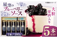 星空のブルーベリーソース 5本セット 180ｇ×5 フルーツ 果物 くだもの ジャム 【清和の恵み工房】 [YAA007]