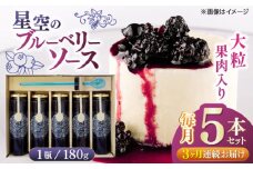 【全3回定期便】星空の ブルーベリーソース 5本セット 180ｇ×5 フルーツ 果物 くだもの ジャム 定期 【清和の恵み工房】 [YAA008]