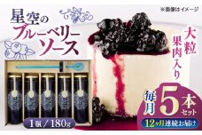 【全12回定期便】星空の ブルーベリーソース 5本セット 180ｇ×5 フルーツ 果物 くだもの ジャム 定期 【清和の恵み工房】 [YAA010]
