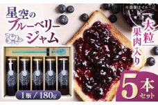 星空のブルーベリージャム 5本セット【清和の恵み工房】 フルーツ 果物 くだもの ソース セット  [YAA022]