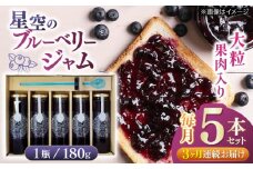 【全3回定期便】星空のブルーベリージャム 5本セット フルーツ くだもの ソース セット 定期 【清和の恵み工房】 [YAA023]